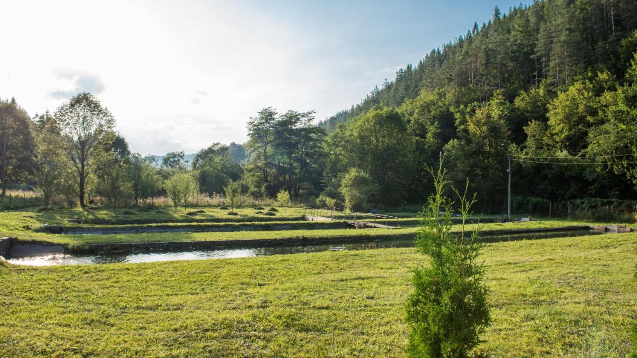 Къща За Гости Черна Река Ribarica Extérieur photo