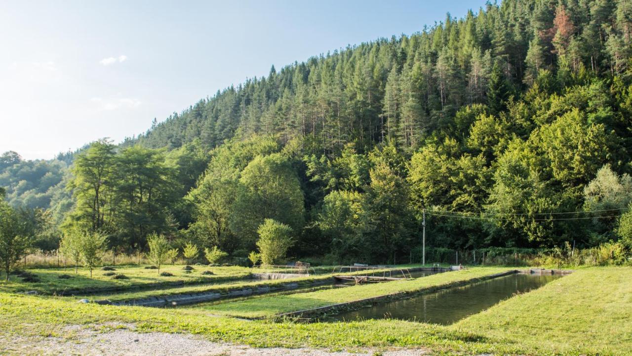 Къща За Гости Черна Река Ribarica Extérieur photo